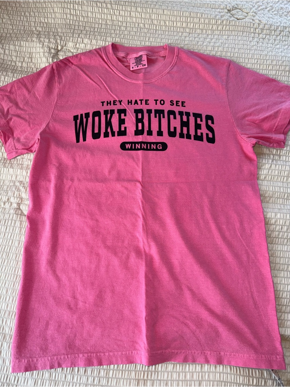 NWOT Raygun Comfort Colors Pink Woke Tee small